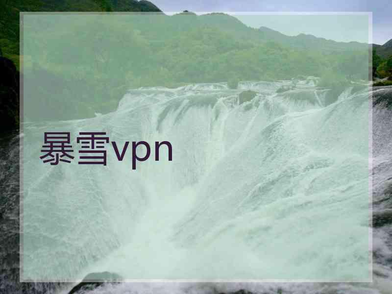 暴雪vpn