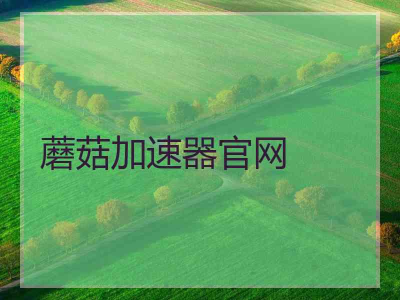 蘑菇加速器官网