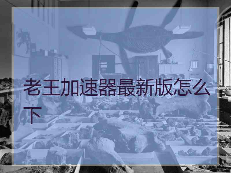 老王加速器最新版怎么下