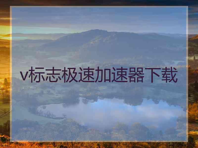 v标志极速加速器下载