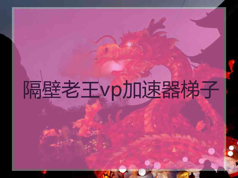 隔壁老王vp加速器梯子