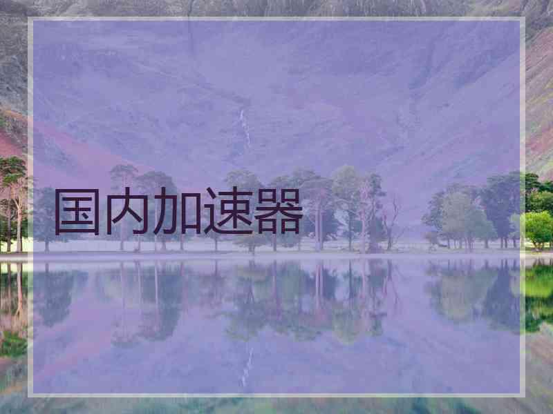 国内加速器