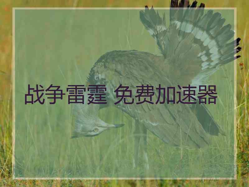 战争雷霆 免费加速器