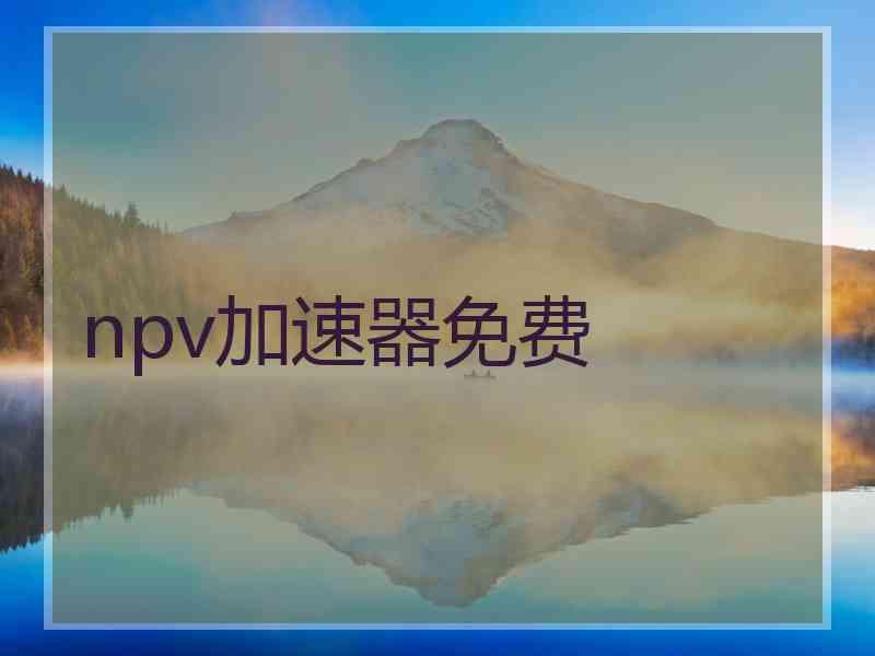 npv加速器免费