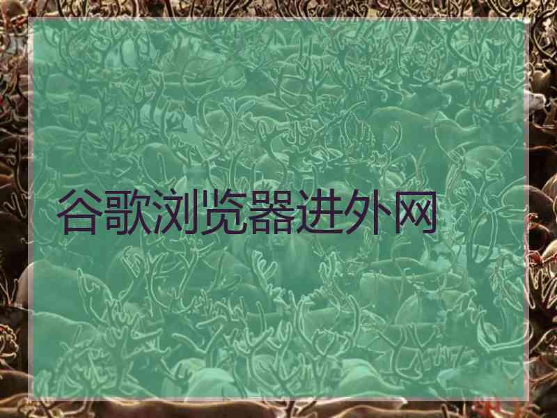 谷歌浏览器进外网