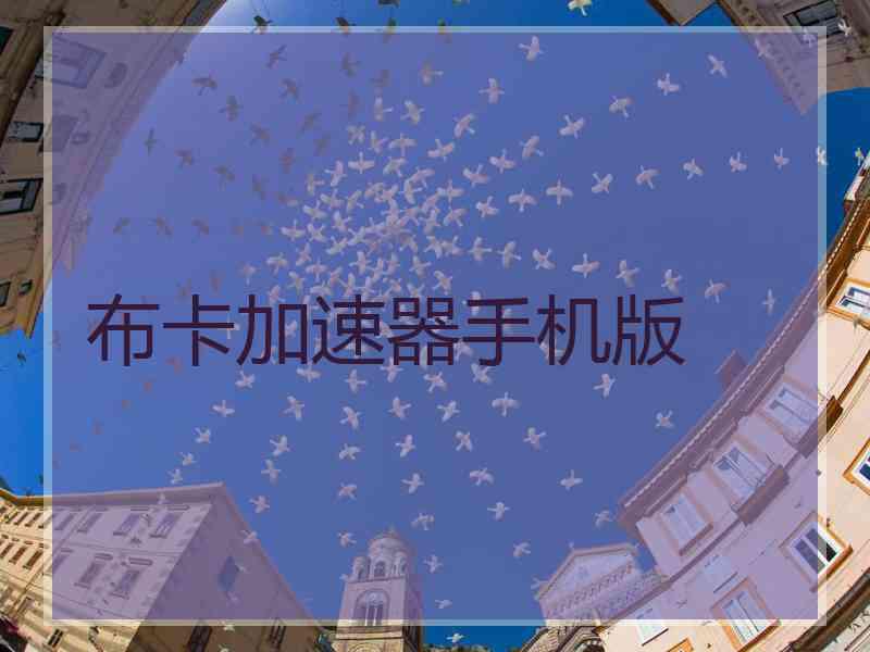 布卡加速器手机版