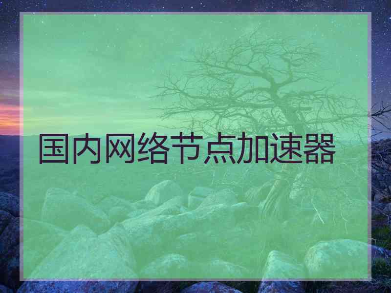 国内网络节点加速器