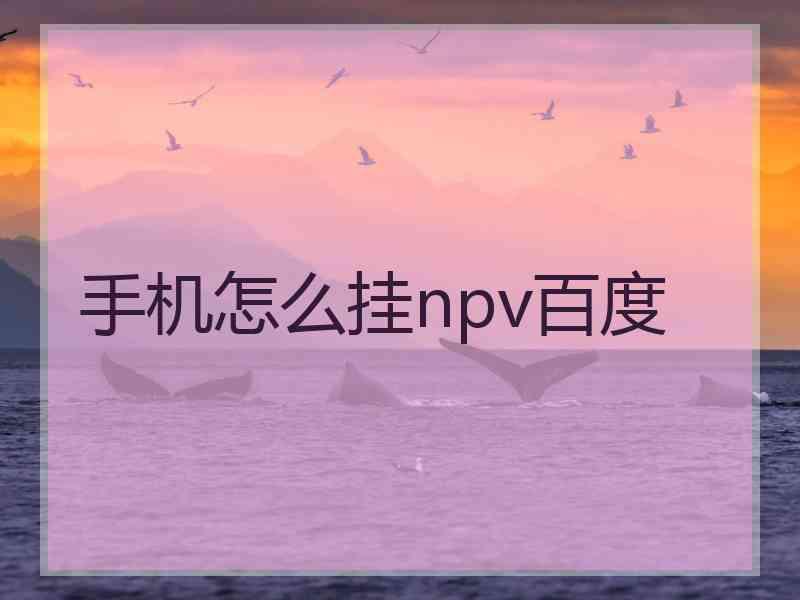 手机怎么挂npv百度
