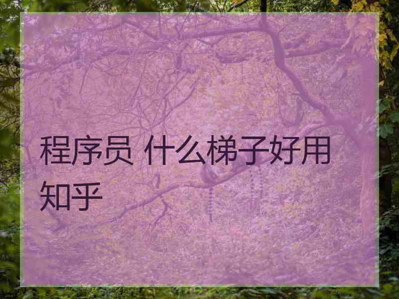 程序员 什么梯子好用 知乎