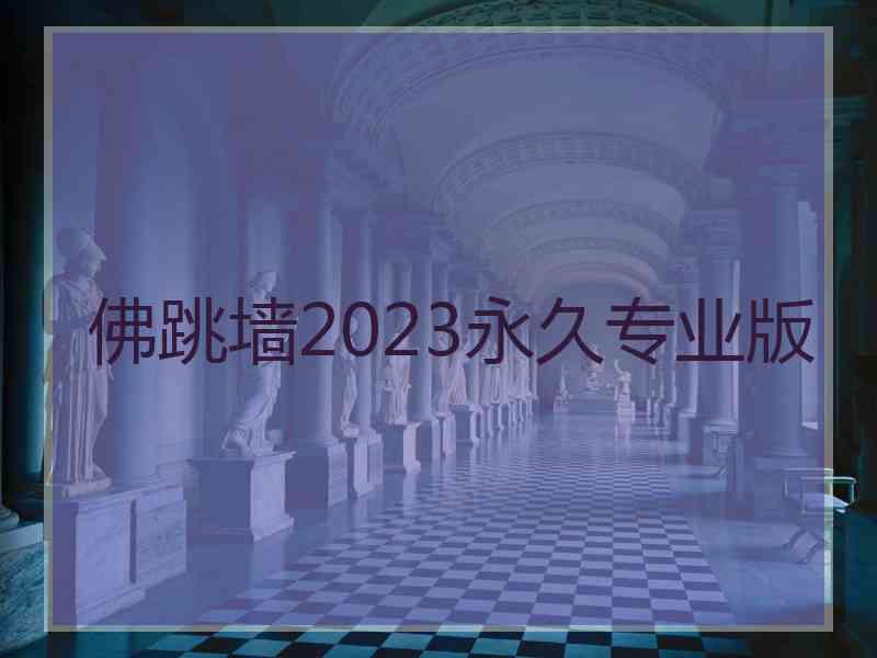 佛跳墙2023永久专业版