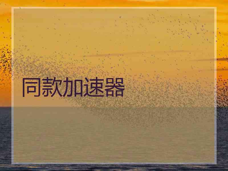 同款加速器