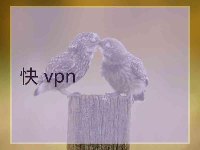 快 vpn