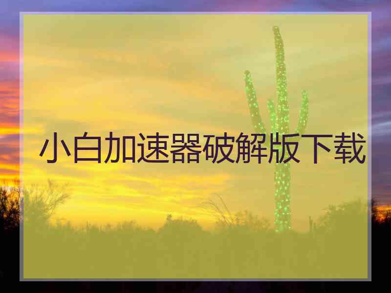小白加速器破解版下载