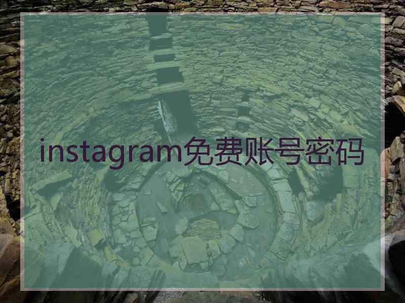 instagram免费账号密码