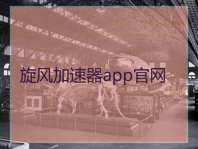 旋风加速器app官网