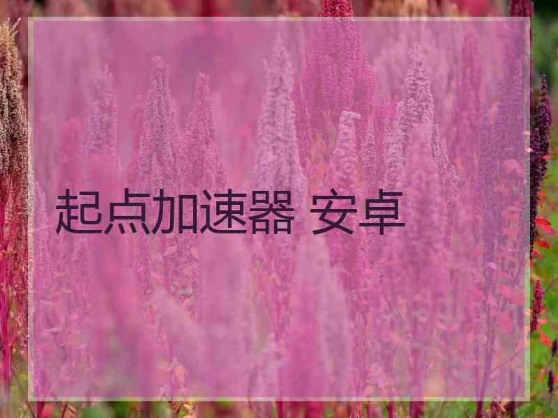 起点加速器 安卓