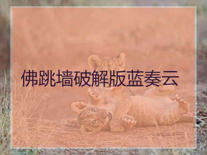 佛跳墙破解版蓝奏云