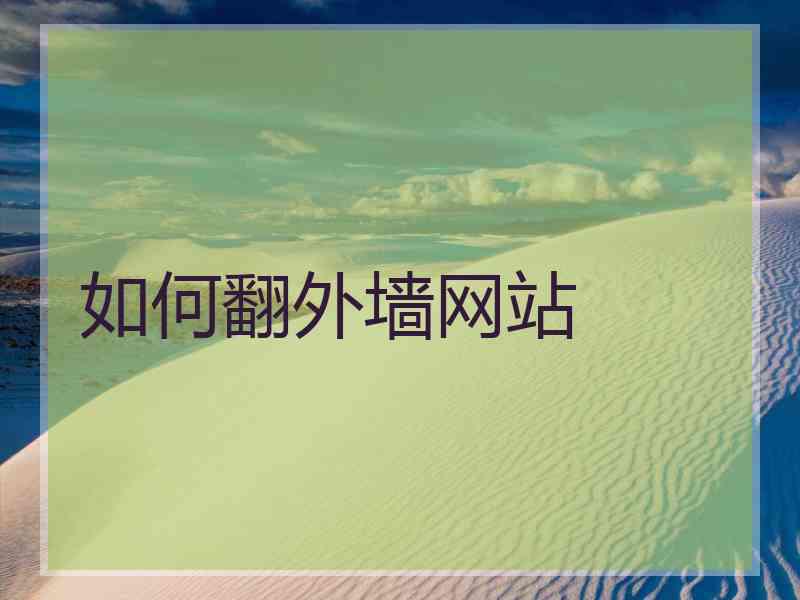 如何翻外墙网站