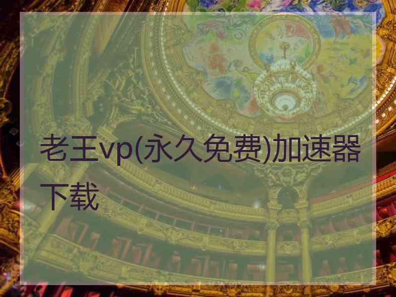 老王vp(永久免费)加速器下载