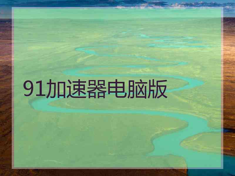91加速器电脑版