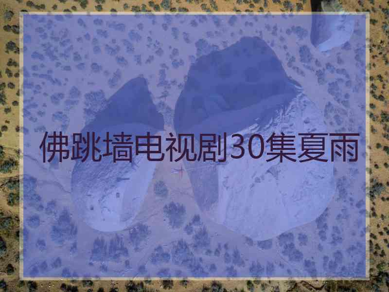 佛跳墙电视剧30集夏雨