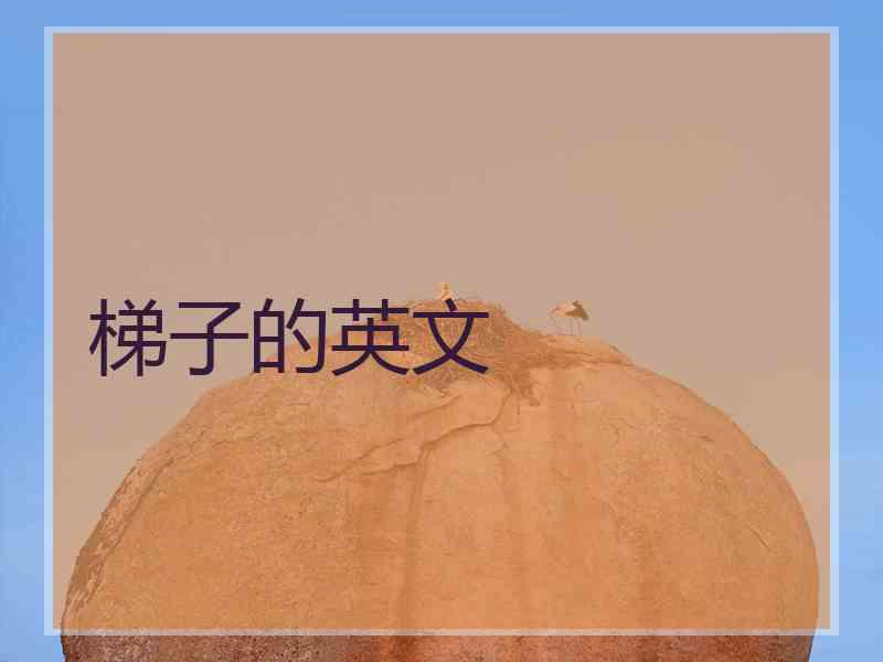 梯子的英文