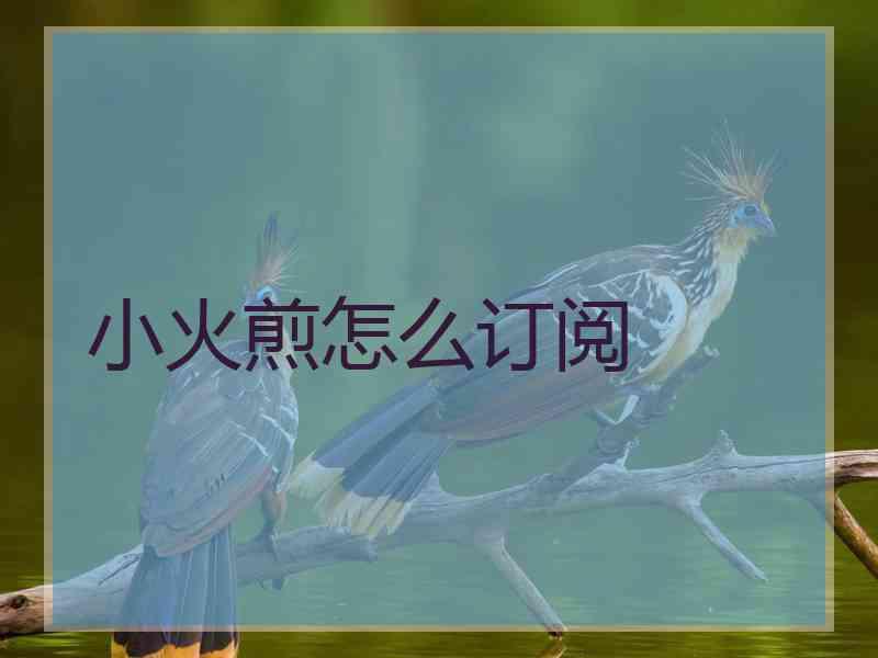 小火煎怎么订阅