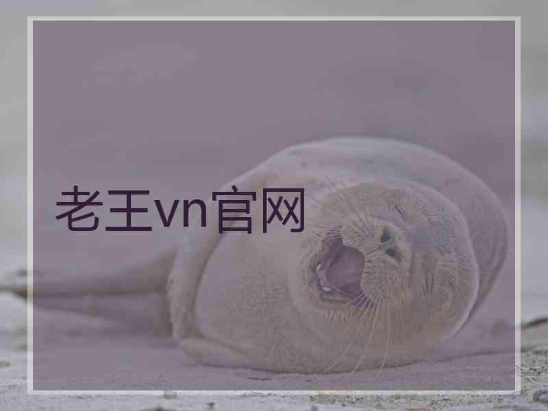 老王vn官网