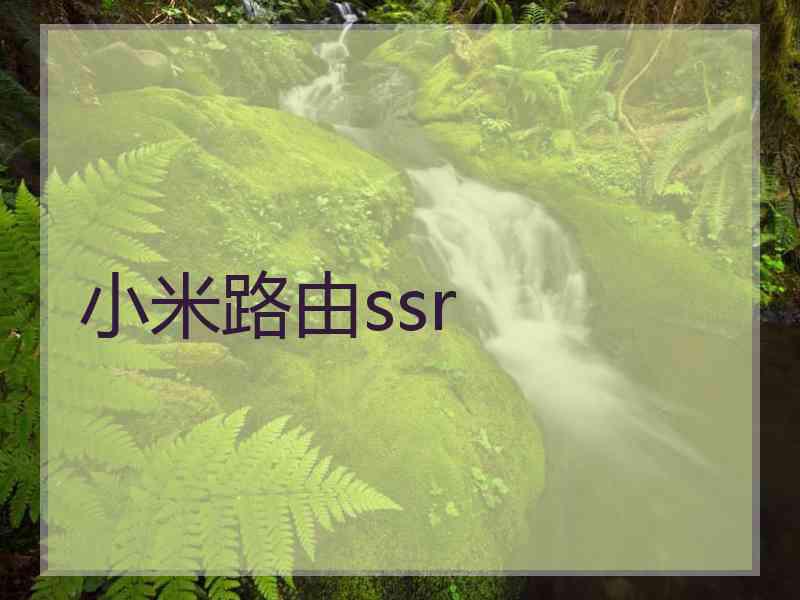 小米路由ssr