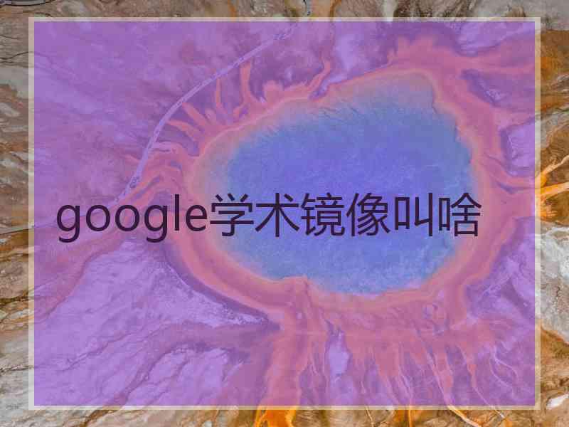 google学术镜像叫啥