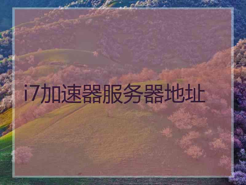 i7加速器服务器地址