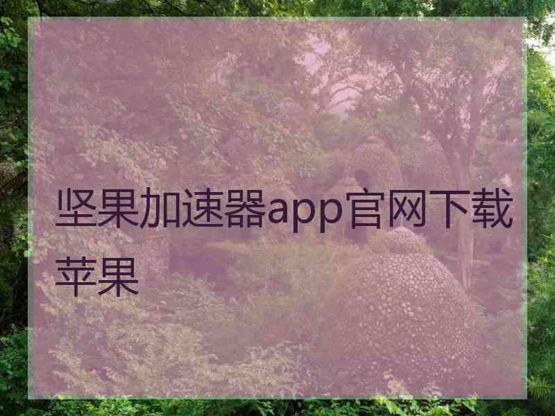 坚果加速器app官网下载苹果