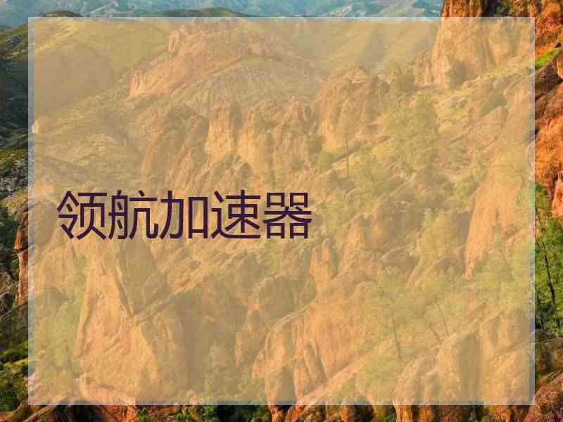 领航加速器