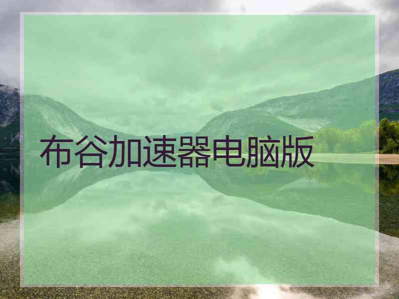 布谷加速器电脑版