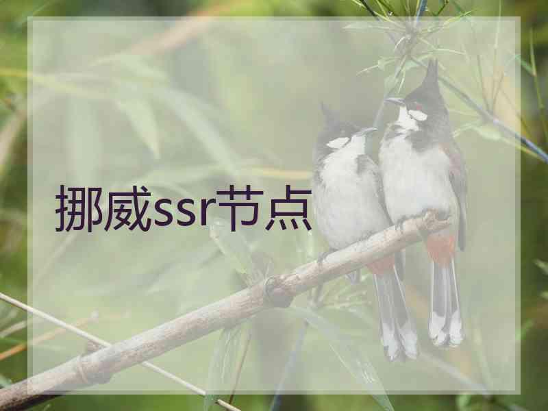 挪威ssr节点