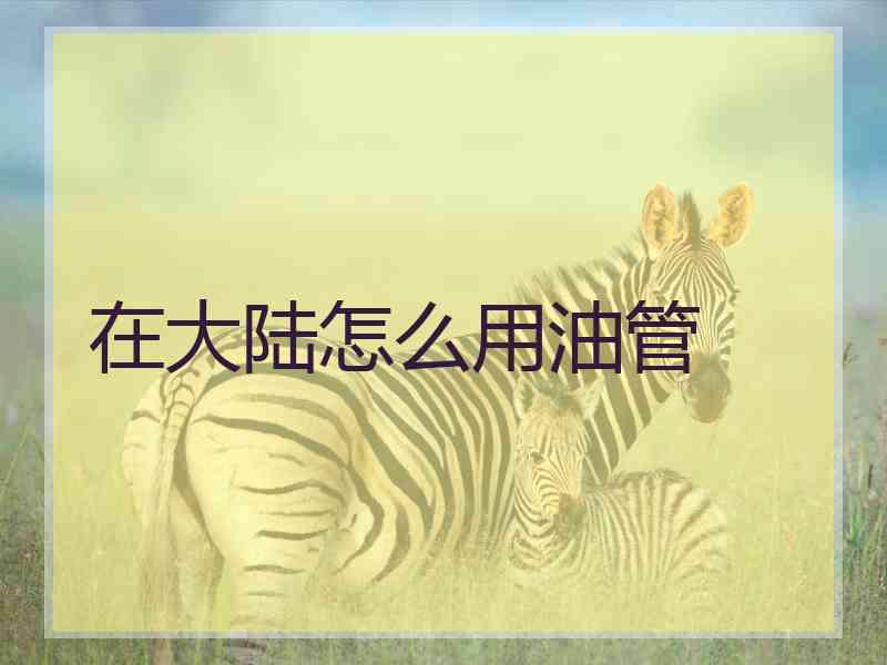 在大陆怎么用油管