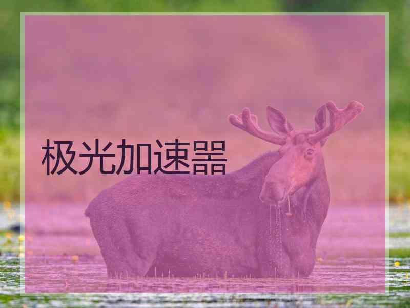 极光加速噐
