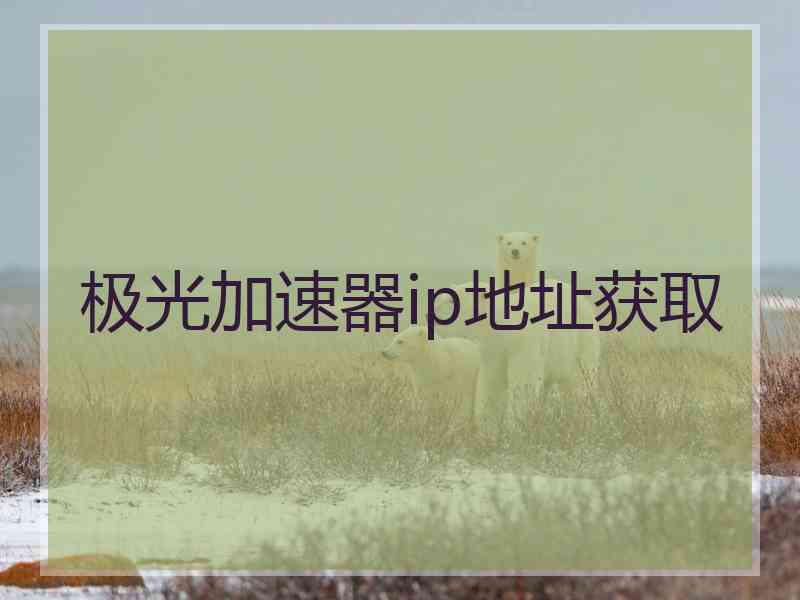 极光加速器ip地址获取