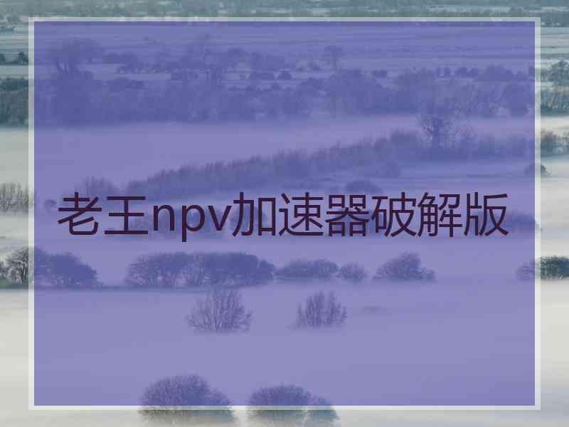 老王npv加速器破解版