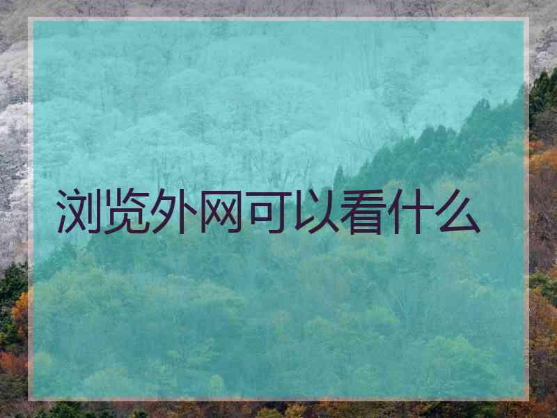 浏览外网可以看什么