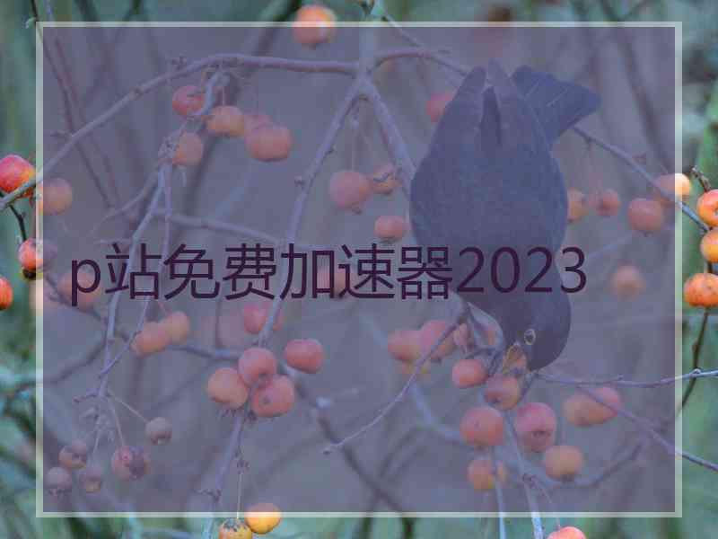 p站免费加速器2023