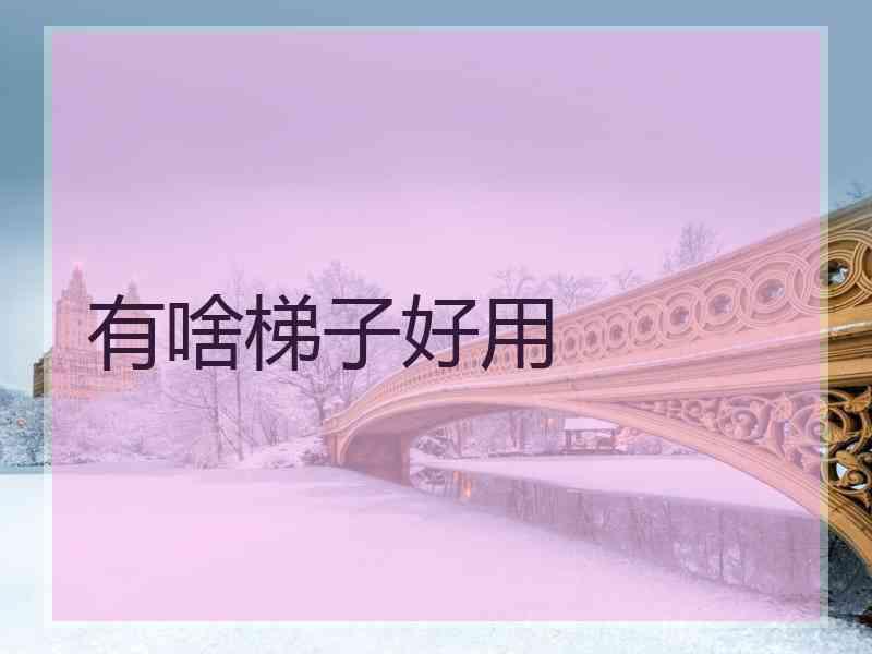 有啥梯子好用