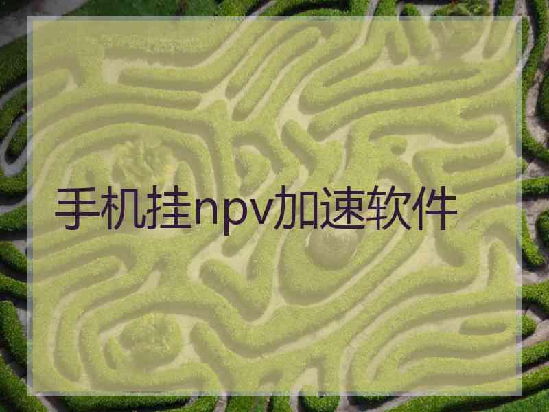 手机挂npv加速软件