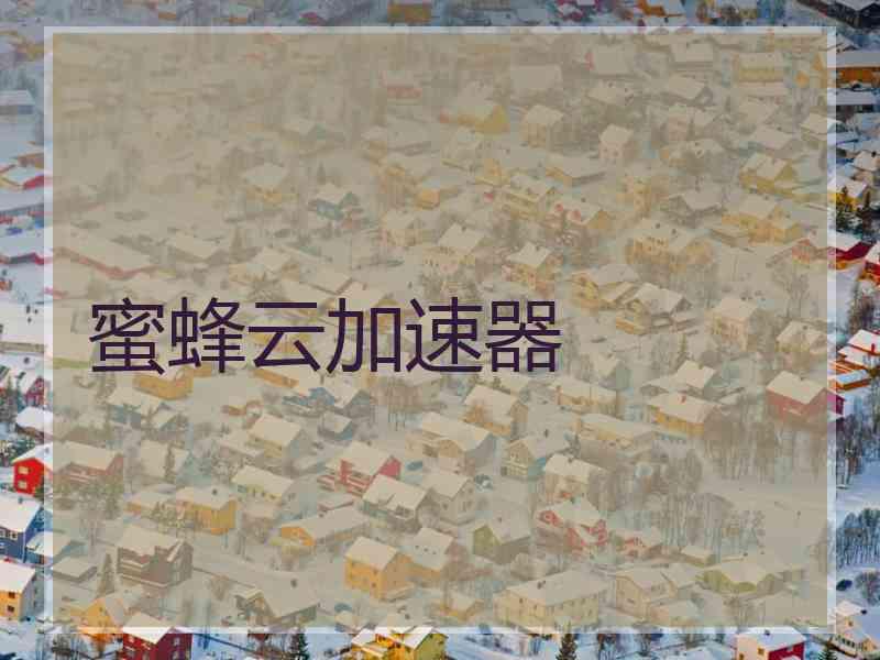 蜜蜂云加速器