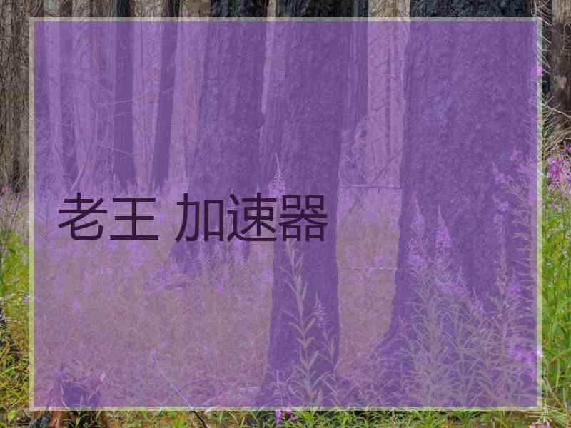 老王 加速器