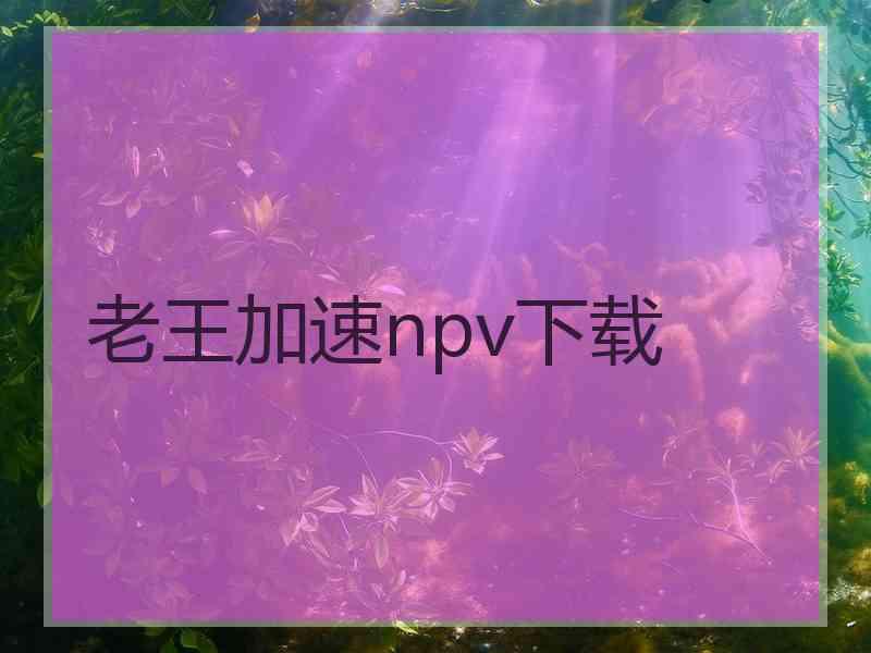 老王加速npv下载