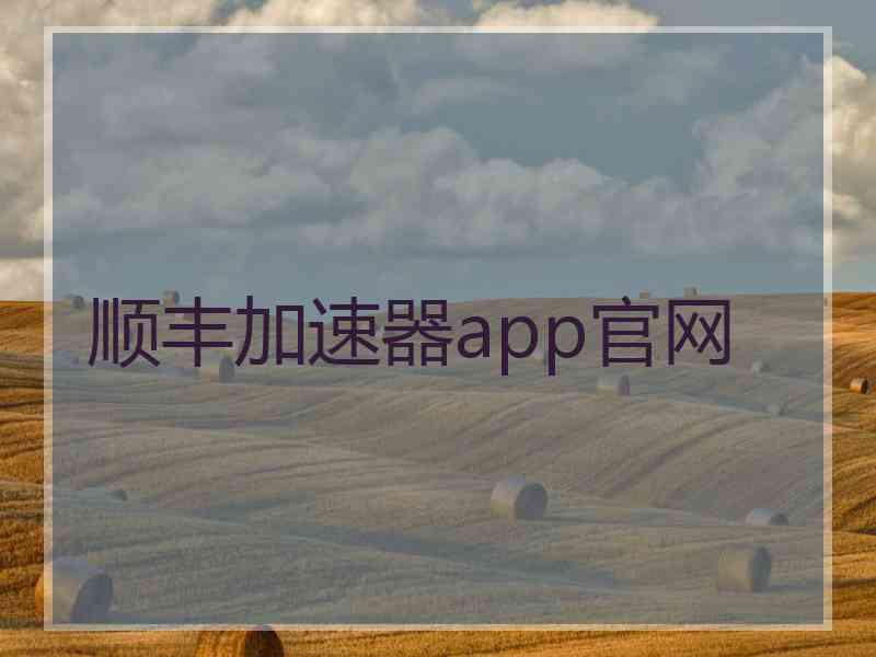 顺丰加速器app官网