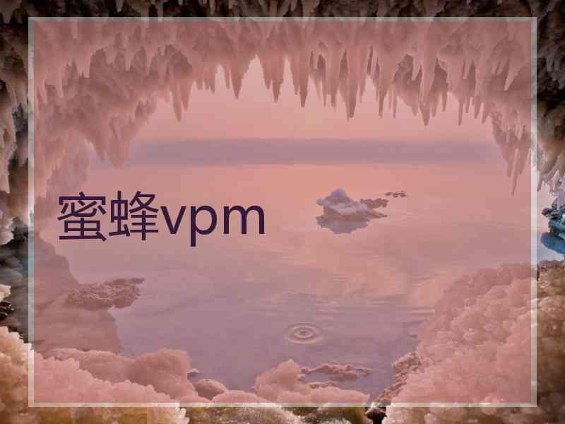 蜜蜂vpm