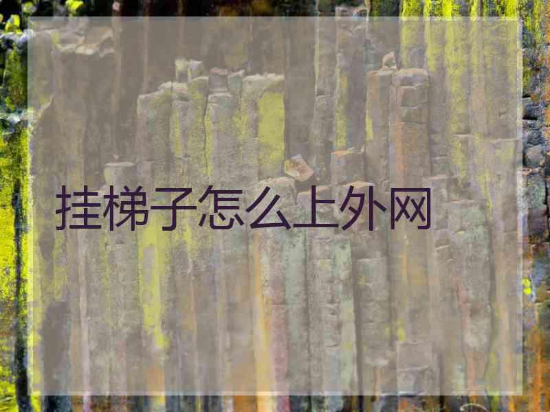 挂梯子怎么上外网