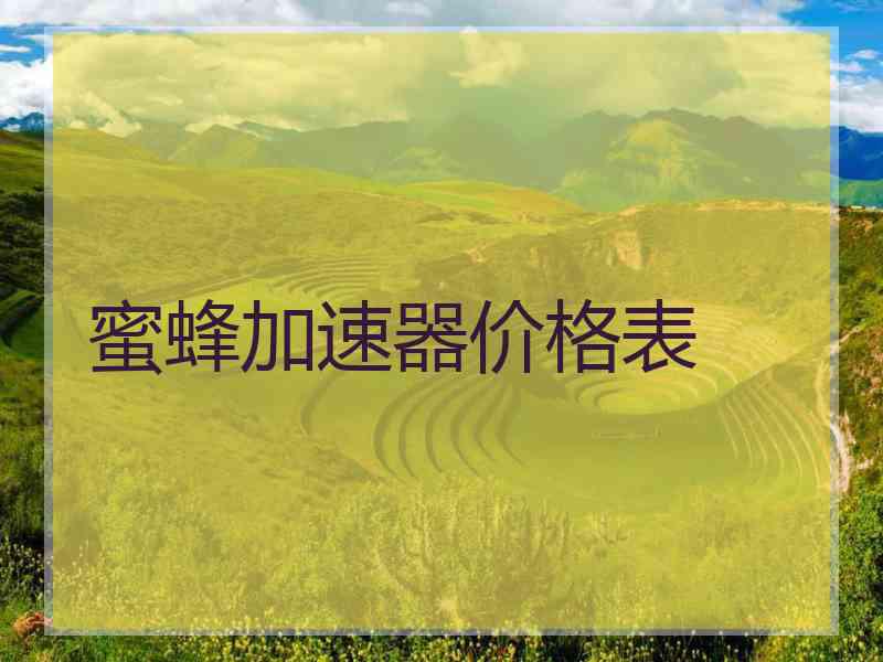 蜜蜂加速器价格表
